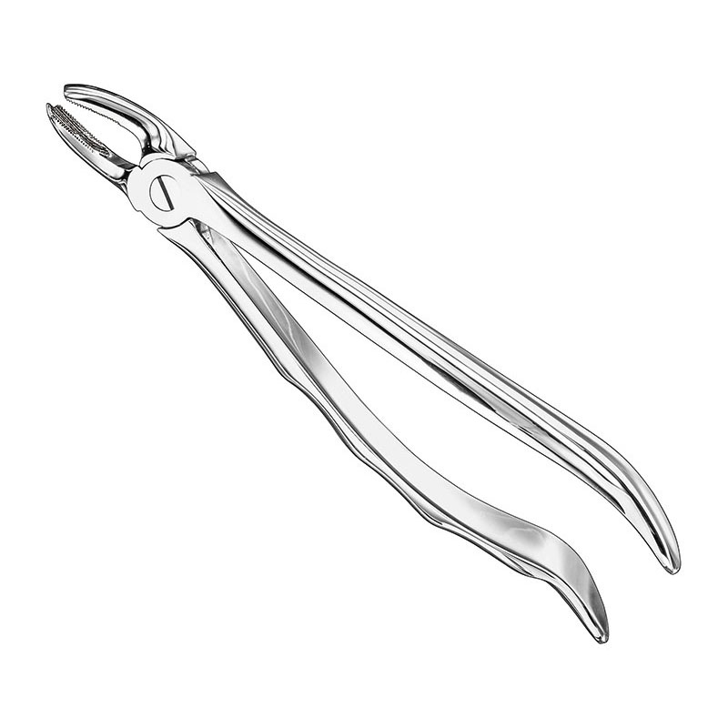 Extracting forceps, anat.