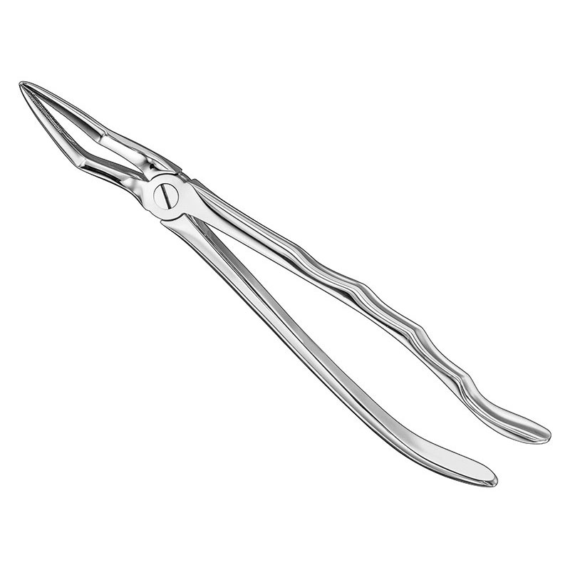 Extracting forceps, anat.