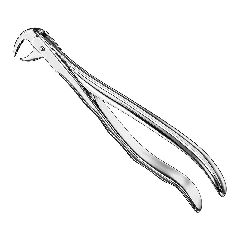 Extracting forceps, anat.