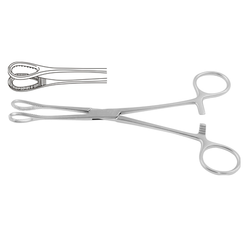 Foerster Sponge Holding Forcep